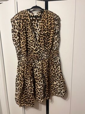 Leopard Print V-Neck Tie-Waist Dress